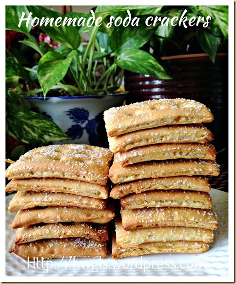 It Is Fun To Have Some Home Made Saltine Crackers–Oregano Sesame Soda Crackers