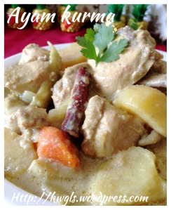 Special - What I cooked today (家常便饭系列）- 22-7-2013–Korma Chicken (科尔马鸡肉）
