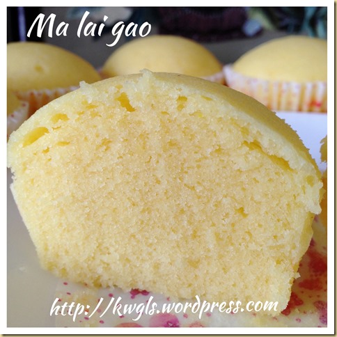 Let’s Made This Dim Sum Cake At Home–Ma La Gao/Ma Lai Gao (马来糕）